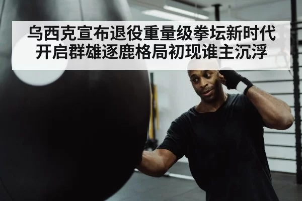 boxer punching heavy bag